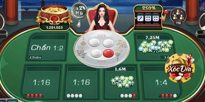 Kinh nghiệm tham gia xóc đĩa cho người mới